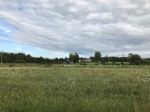 2019-07-09 22-53-53